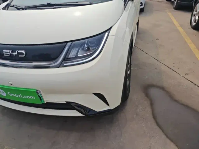 BYD Dolphin — Фото автомобиля 23