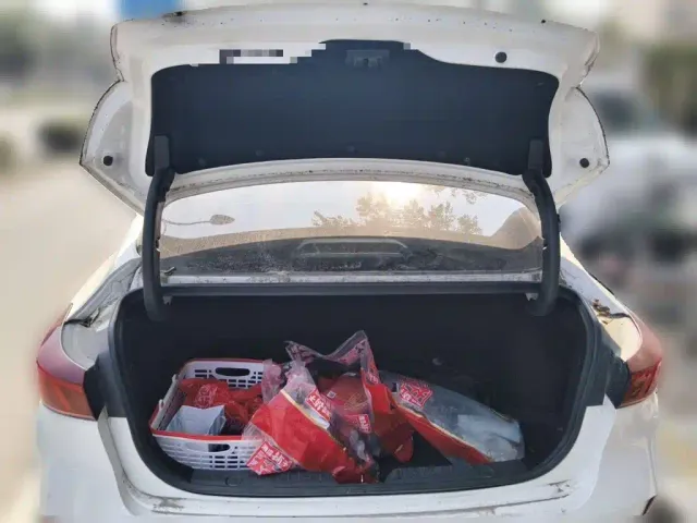 Changan Eado — Фото автомобиля 9