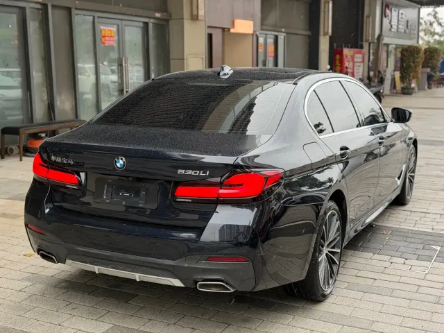 BMW 5 Series — Фото автомобиля 9