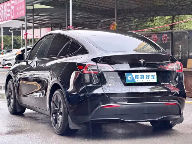 Tesla Model Y — Фото автомобиля 6