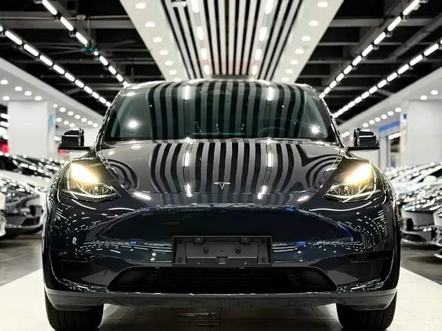 Tesla Model Y — Фото автомобиля 2