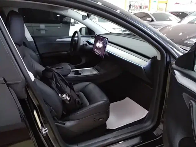 Tesla Model Y — Фото автомобиля 24