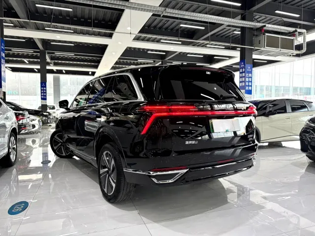 Wey Lanshan — Фото автомобиля 7