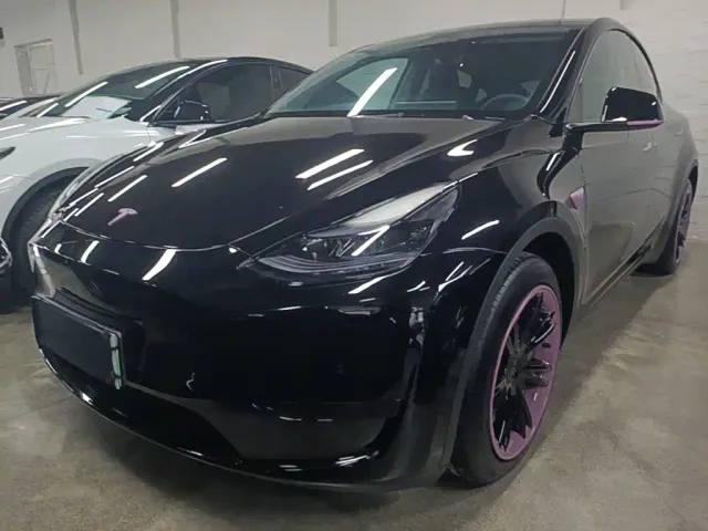 Tesla Model Y — Фото автомобиля 2