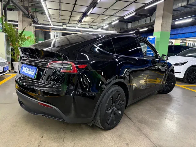 Tesla Model Y — Фото автомобиля 4