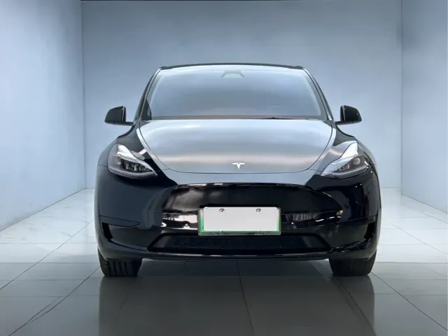 Tesla Model Y — Фото автомобиля 2