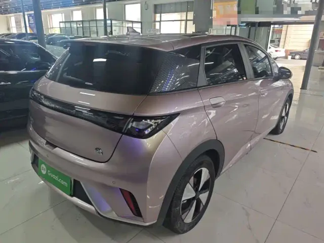 BYD Dolphin — Фото автомобиля 6