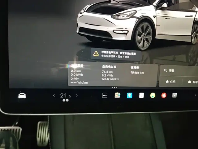 Tesla Model Y — Фото автомобиля 11