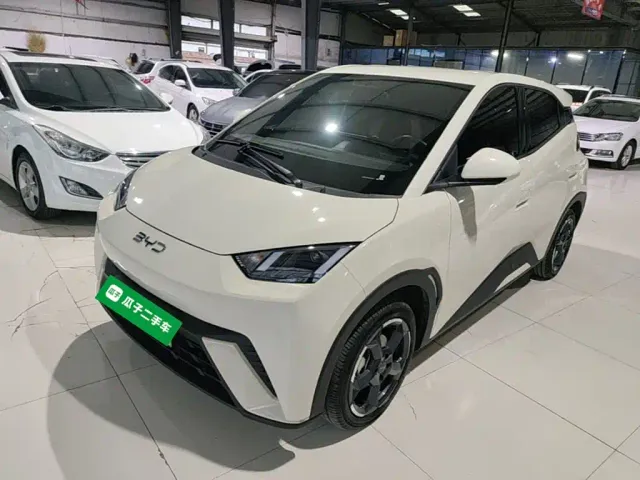 Фотография автомобиля — BYD Seagull