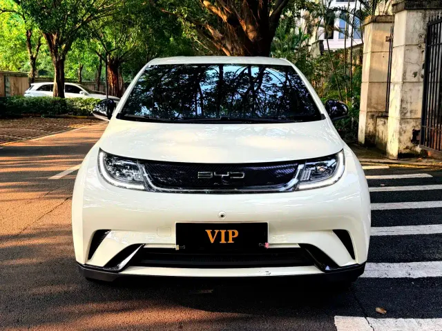 BYD Dolphin — Фото автомобиля 6