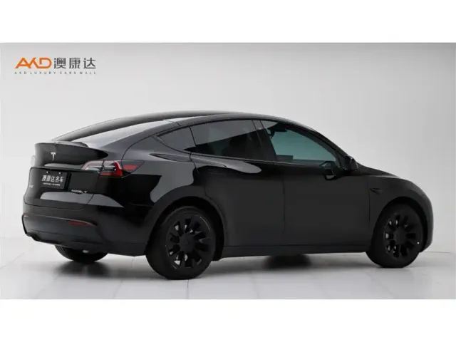 Tesla Model Y — Фото автомобиля 3