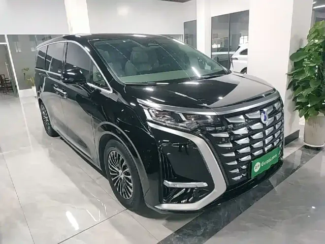 Denza Denza D9 2022 DM-i 970 AWD Flagship — Фото автомобиля 3