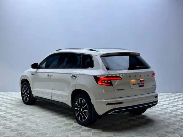 Skoda Karoq — Фото автомобиля 4