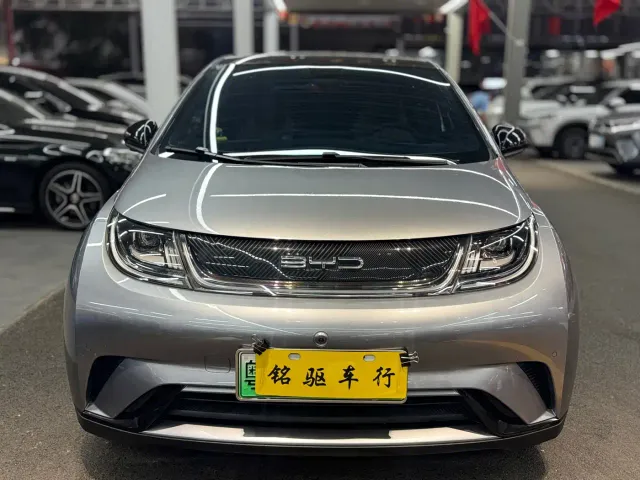 BYD Dolphin — Фото автомобиля 2
