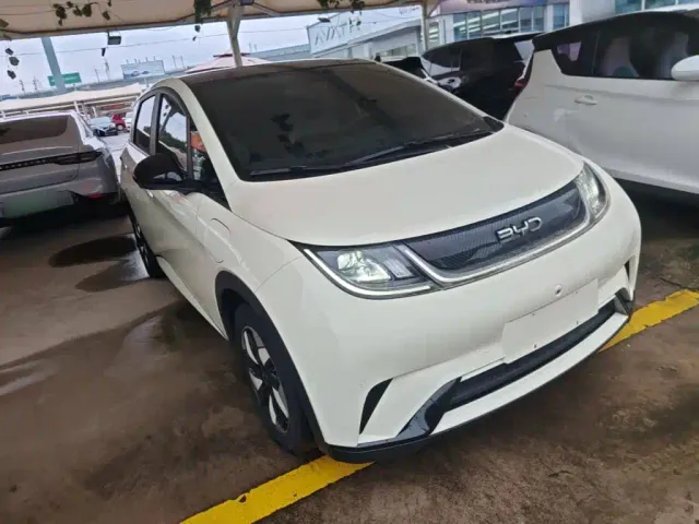 BYD Dolphin — Фото автомобиля 3