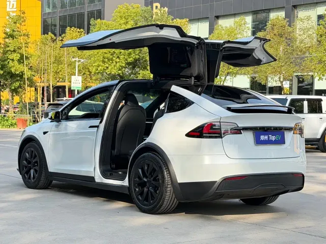 Tesla Model X — Фото автомобиля 8