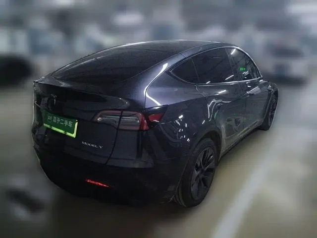 Tesla Model Y — Фото автомобиля 4