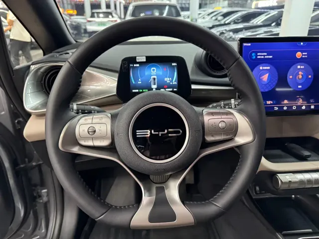 BYD Dolphin — Фото автомобиля 13