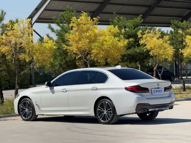 BMW 5 Series — Фото автомобиля 23