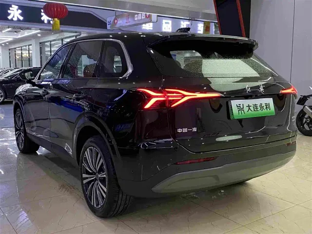 Hongqi HS6 PHEV — Фото автомобиля 18