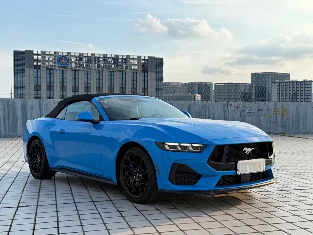 Ford Mustang — Фото автомобиля 10