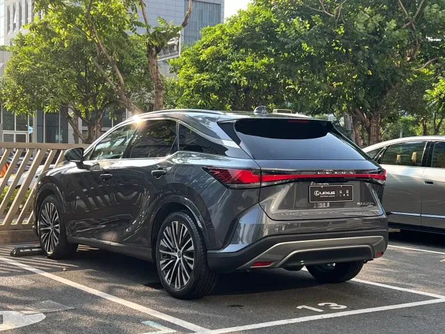 Lexus RX — Фото автомобиля 11