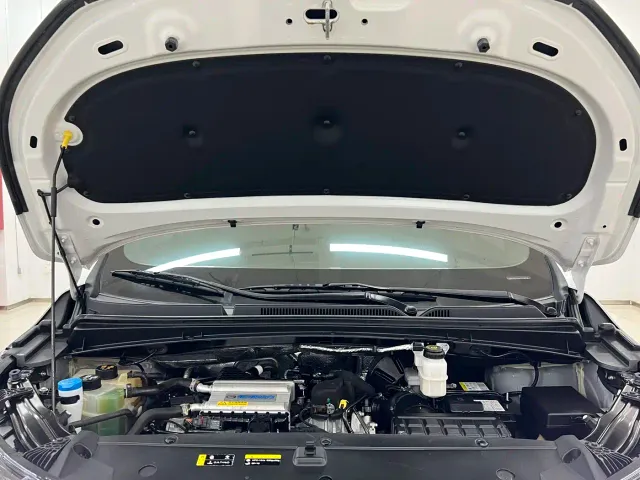 GAC Trumpchi M6 — Фото автомобиля 15
