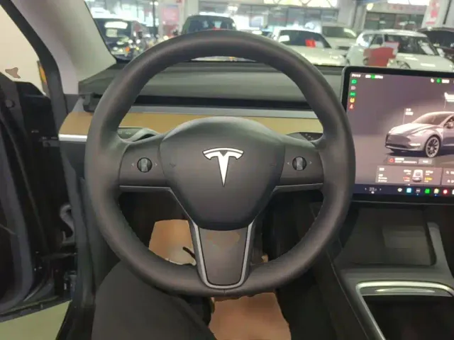 Tesla Model Y — Фото автомобиля 10