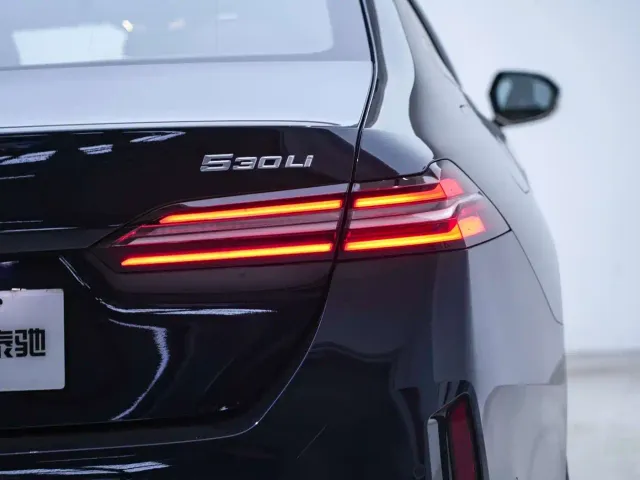 BMW 5 Series — Фото автомобиля 23