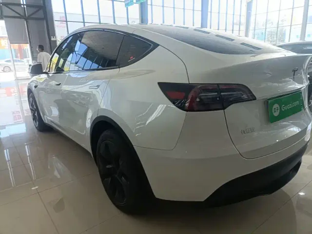 Tesla Model Y — Фото автомобиля 4