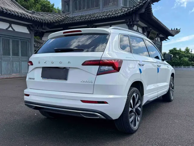 Skoda Karoq — Фото автомобиля 6