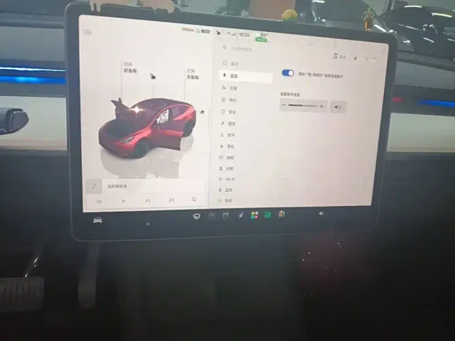 Tesla Model Y — Фото автомобиля 12