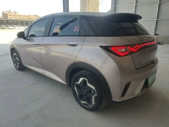 BYD Dolphin — Фото автомобиля 4