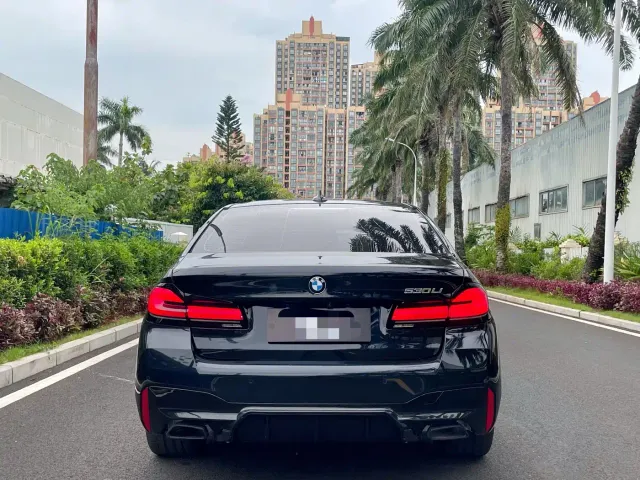 BMW 5 Series — Фото автомобиля 8