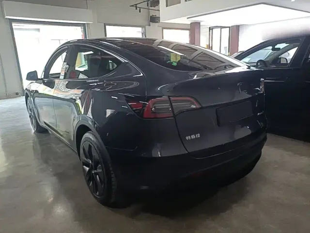 Tesla Model Y — Фото автомобиля 4