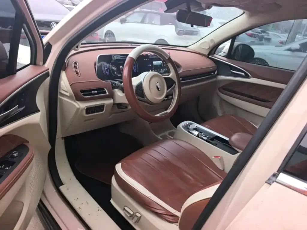Ora Ora Good Cat 2021 400km Standard Range Athena Edition (LFP) — Фото автомобиля 15