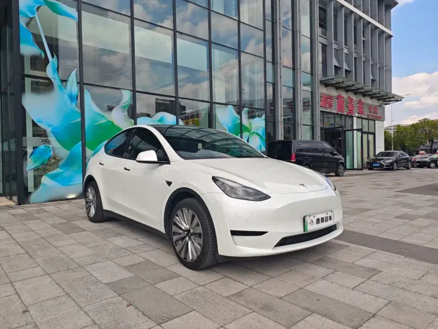 Tesla Model Y — Фото автомобиля 3