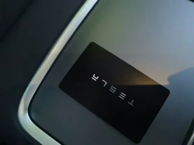 Tesla Model Y — Фото автомобиля 8