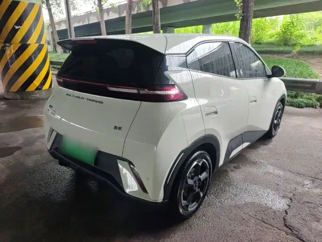 BYD Seagull 2024 Glory Edition 305km Freedom Edition — Фото автомобиля 6