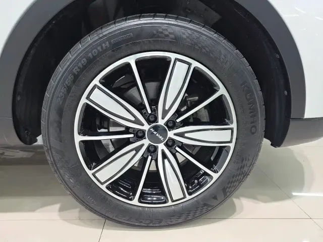 Haval Haval H6 2021 Model National Trend Edition 1.5T Auto Champion — Фото автомобиля 10