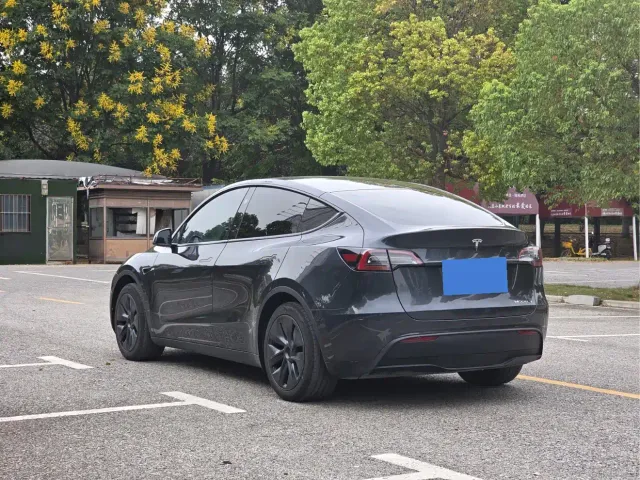 Tesla Model Y — Фото автомобиля 7