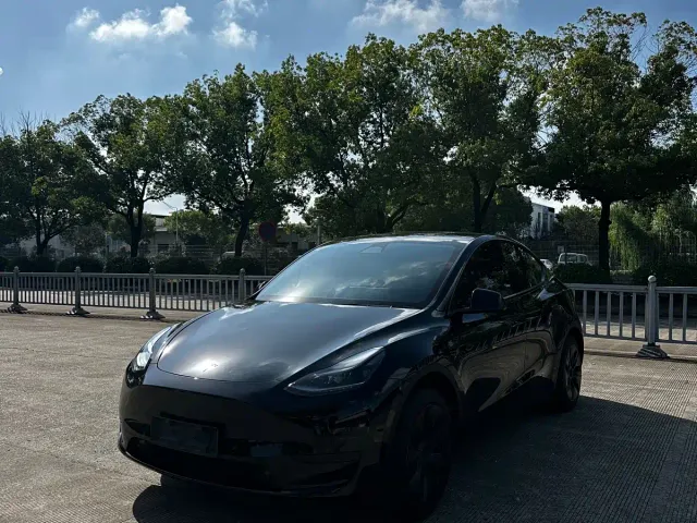 Tesla Model Y — Фото автомобиля 3