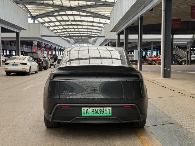 Tesla Model Y — Фото автомобиля 11