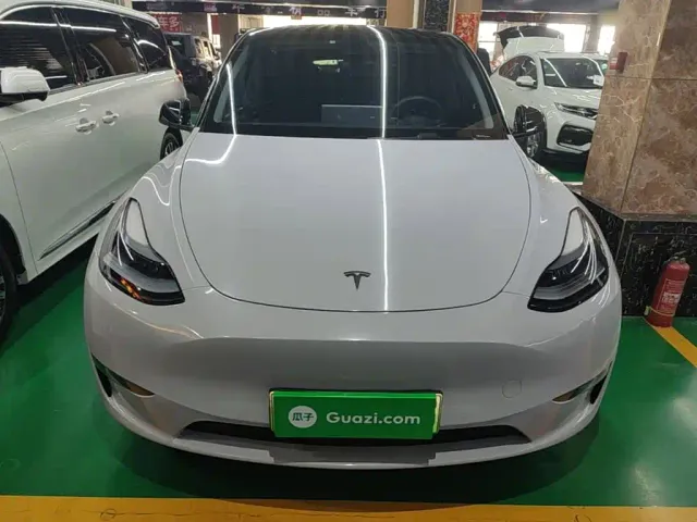 Tesla Model Y — Фото автомобиля 2