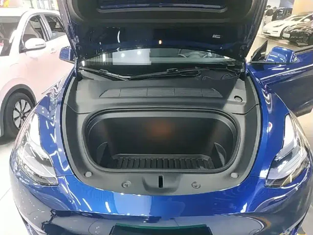 Tesla Model Y — Фото автомобиля 19