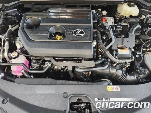 Lexus UX UX300h — Фото автомобиля 6