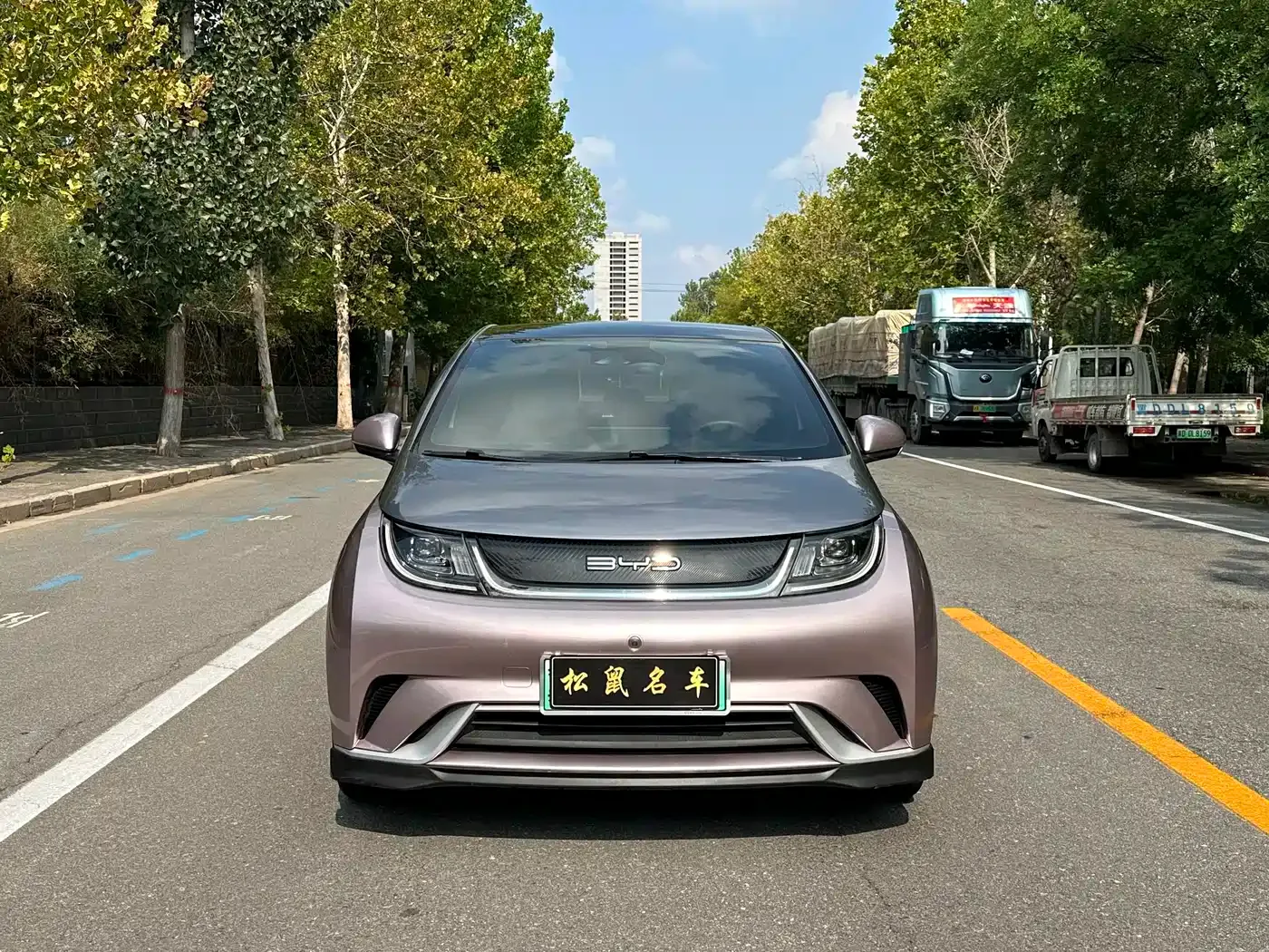 BYD Dolphin 2021 401km Knight Edition — Фото автомобиля 2