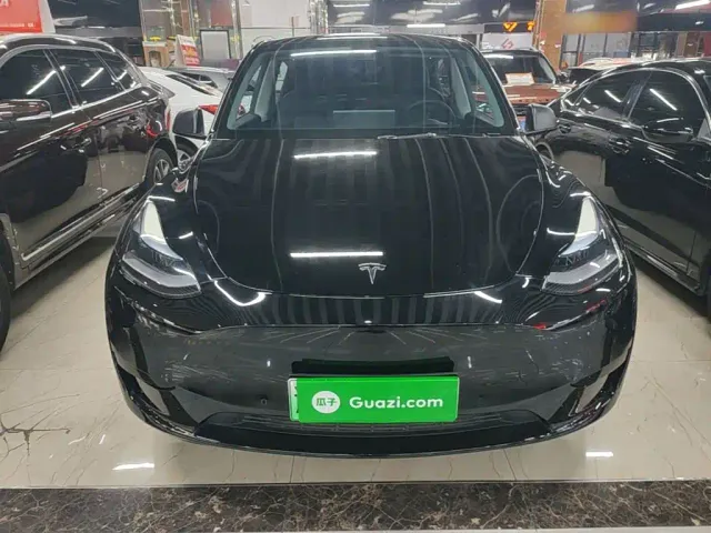 Tesla Model Y — Фото автомобиля 2