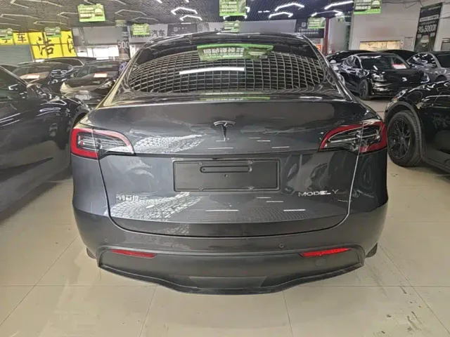 Tesla Model Y — Фото автомобиля 3