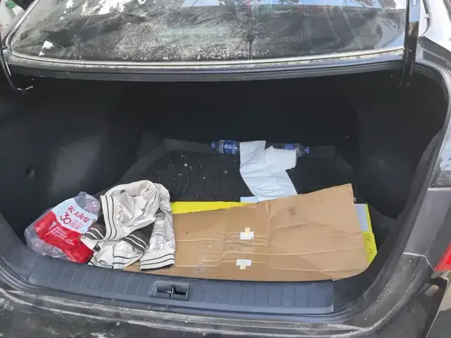 Nissan Sylphy — Фото автомобиля 4